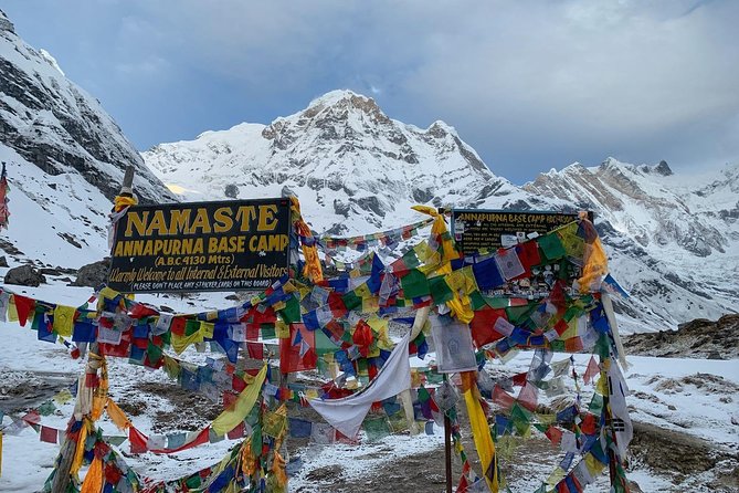 Annapurna Sanctuary Trek ( 11 Days) - Trek Highlights