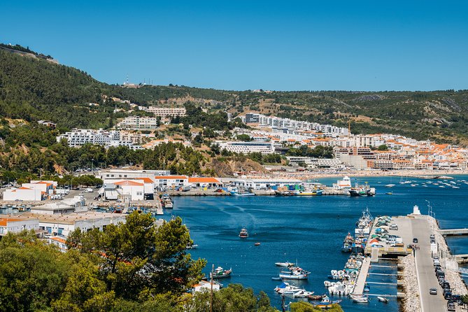 Arrábida & Wine Experience Private Tour - What To Expect