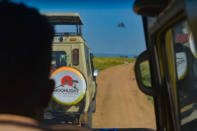 Arusha National Park Day Trip - Transportation and Guide Details