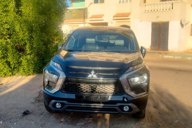 Aswan Airport Transfer - Reviews