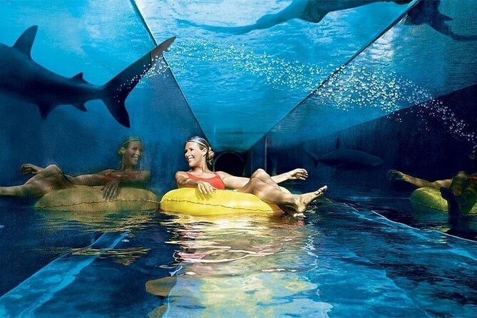 Atlantis Lost Chamber Aquarium in Dubai