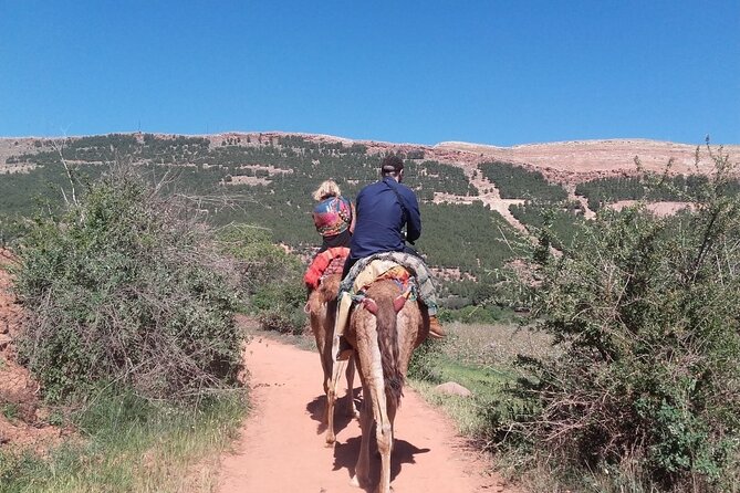 Atlas Mountains Tour From Marrakesh and Camel Ride - Tour Inclusions