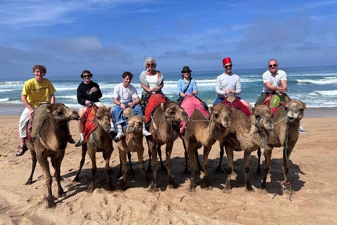 Authentic Private Tangier Tour From Estepona Camel Ride & Lunch - Pickup Information