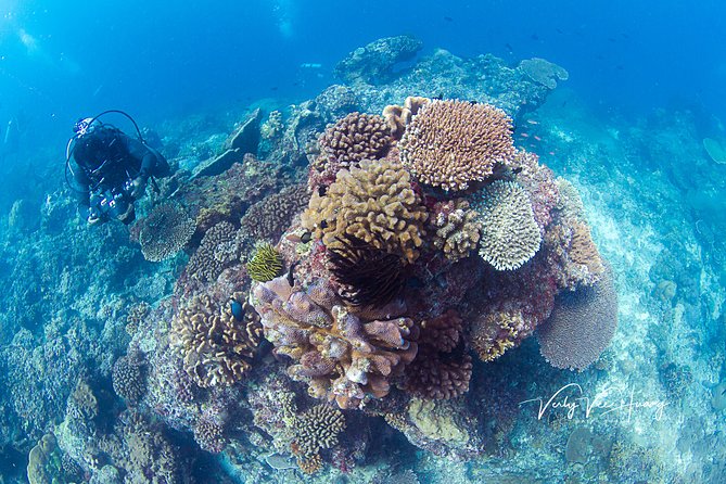 5 Best Scuba Diving Experiences In Seminyak