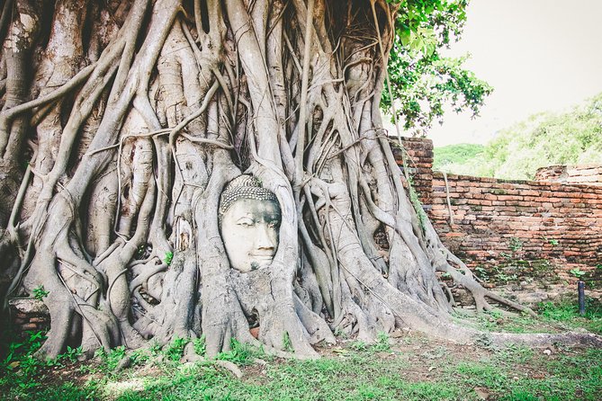 Bangkok to Ayutthaya Historical Park Tour With Lunch Cruise - Inclusions