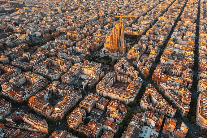 Best Safari Tours In Barcelona
