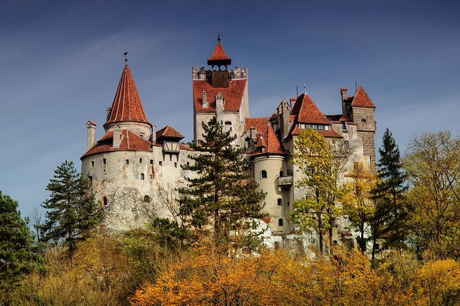 Bear Sanctuary, Bran (Dracula) Castle, Peles Castle From Brasov - Transylvania Tour Highlights