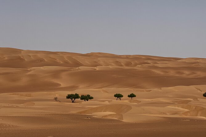 Bediyah: Under the Arabian Starry Sky – Looking at the Stars