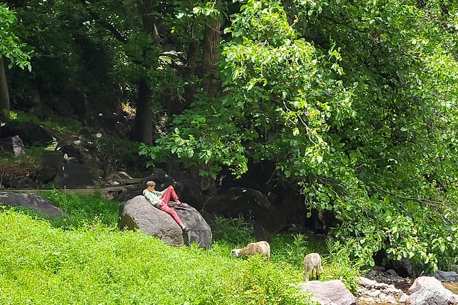 Berber Village Retreat: A Tranquil Escape to the Atlas Mountains - Activity Details