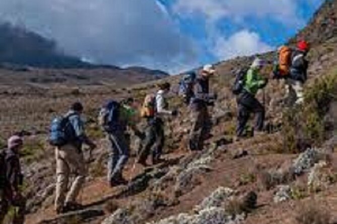 Best 1 Day Kilimanjaro Hiking Tour Via Marangu Route 2024/2025 - Inclusions and Exclusions