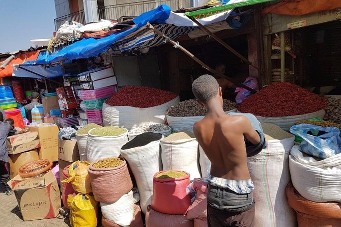 Best of Addis Ababa Guided City Tour - Tour Inclusions