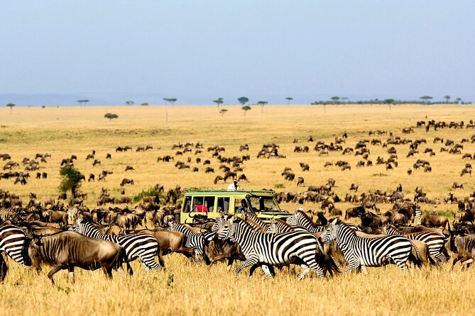 Best of Six Days Safari Camping Safari - Safari Itinerary Highlights