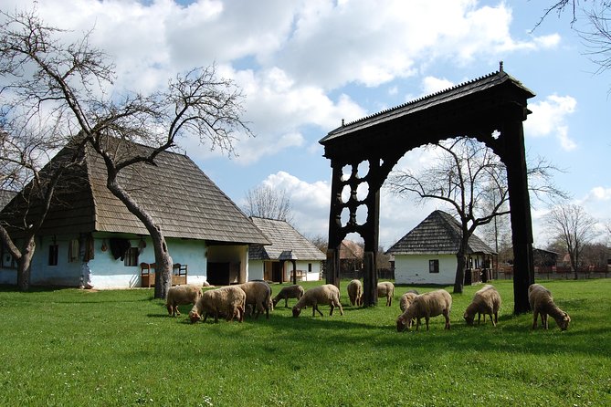 Best of Székely Lands Nature and Culture Full Day Trip From Brasov - What To Expect Details