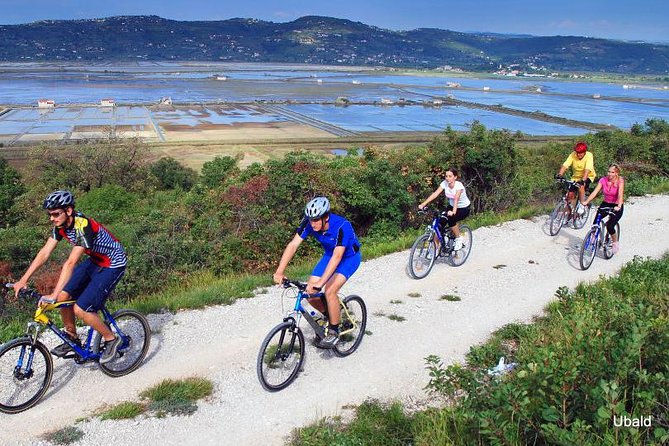 Biking Trip - Shore Excursion From Koper - Location and Activity