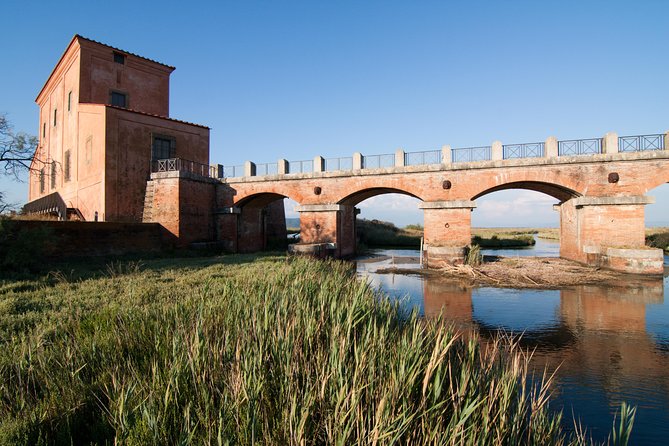 Birdwatching and Photo Tour in Diaccia Botrona - Equipment and Guide Details