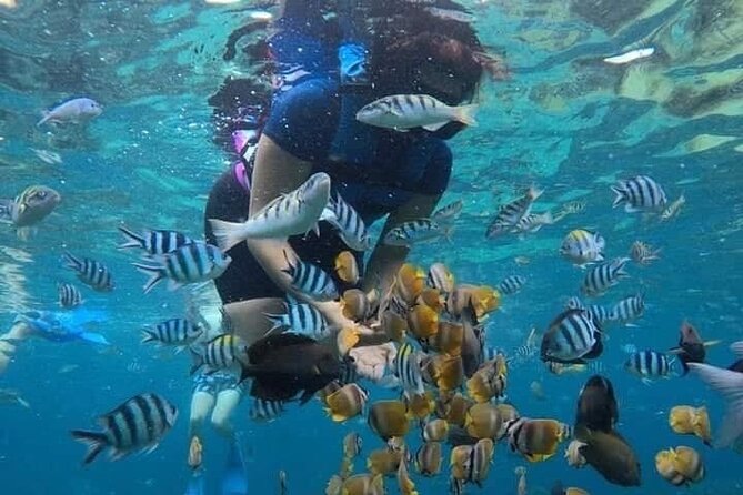 Blue Lagoon Snorkeling and Lunch - Ubud Monkey Forest - Waterfall - Tour Highlights