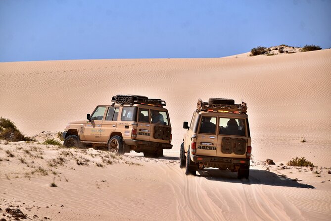 Boa Vista: 4h South Jeep Expedition Off-Road