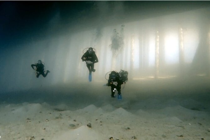 Boat Dive 2 Guided Dives With Lunch Included Wreck Dive&Reef Dive - Inclusions