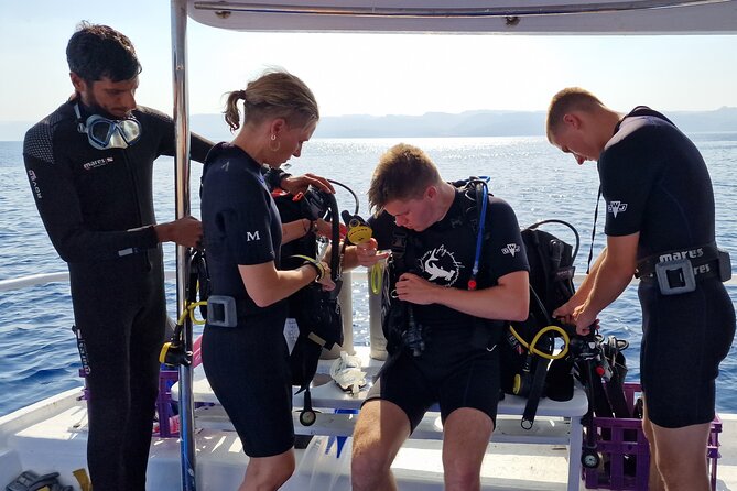 Boat Dive and Snorkeling Experience in Aqaba - Experience Details