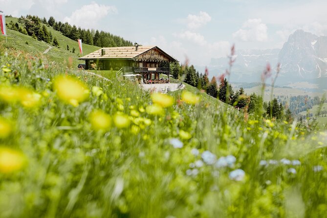 Bolzano Dolomites: One Day Private E-Bike Tour - Meeting and Pickup Information