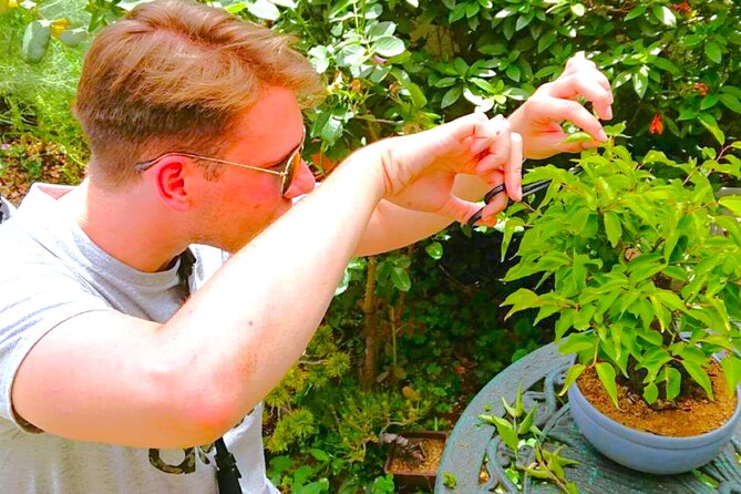 Bonsai Experience at the Most Sacred City for Bonsai in Japan - Hands-On Experience and Pruning