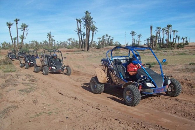 Buggy Tour in Marrakech Palm Grove - Tour Highlights