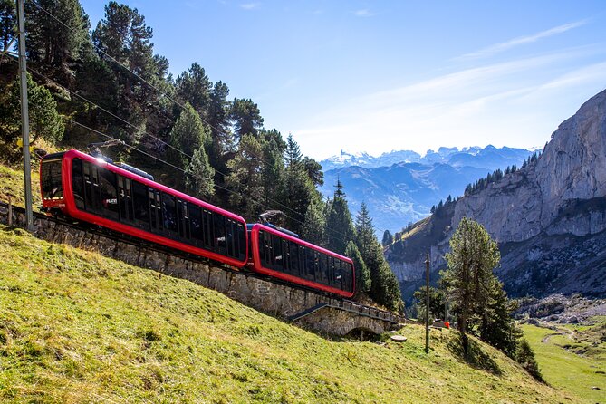 Bürgenstock Private Tour to Mt. Pilatus and the Lake of Lucerne - Accessibility and Services Provided