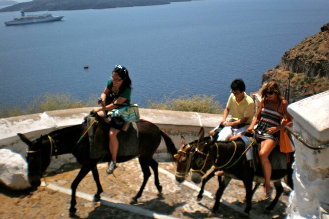 BUTTERFLIES VALLEY & LINDOS VILLAGE Private Tour - Entrance Fees