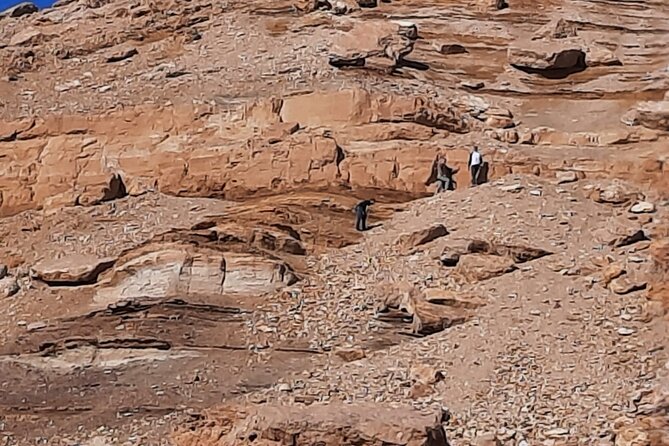 Cairo Day Tour to El Fayoum - Tour Overview