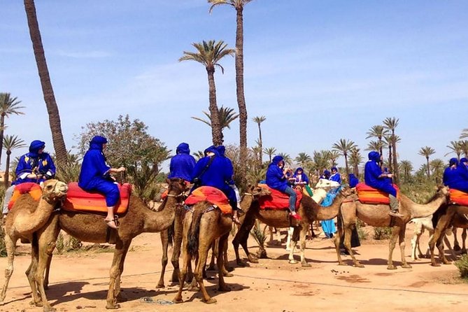 Camel Ride and Quad Bike in Palmeraie - Location Details