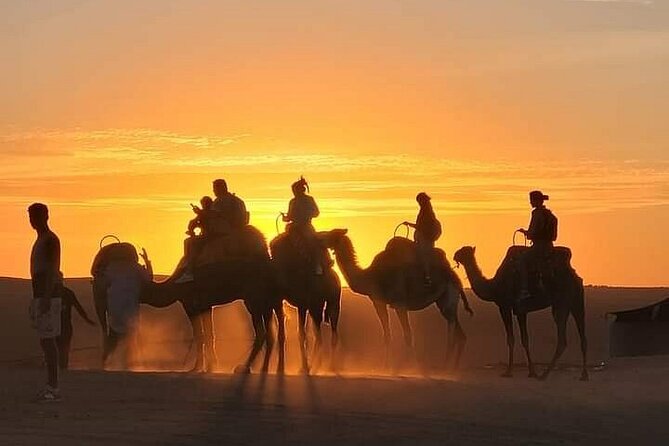 Camel Ride at Agafay Desert - Pickup Logistics