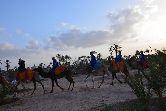 Camel Ride Experience Around Marrakech - Scenic Camel Ride Experience