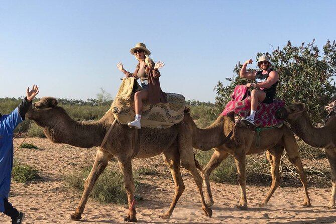 Camel Ride in Agadir at Sunset With Dinner (Bbq) - Inclusions and Additional Information