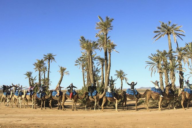 Camel Ride in Marrakech Palm Grove - Tour Details