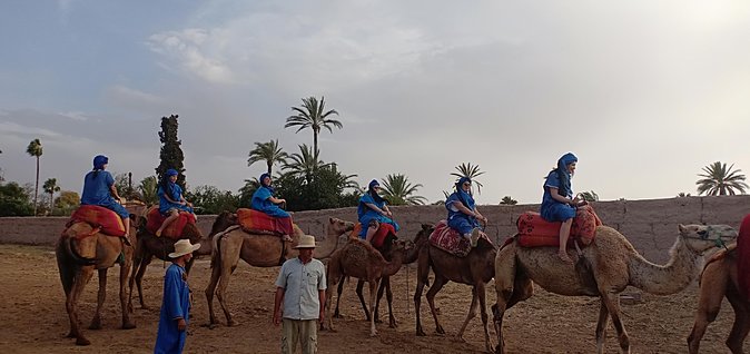 Camel Ride in Marrakech (Palmerie) - Camel Ride Experience in Marrakech