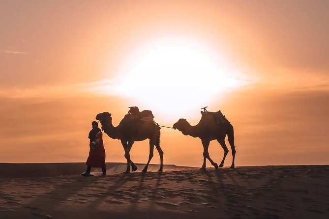 Camel Ride in Merzouga With 1 Night in Desert Camp
