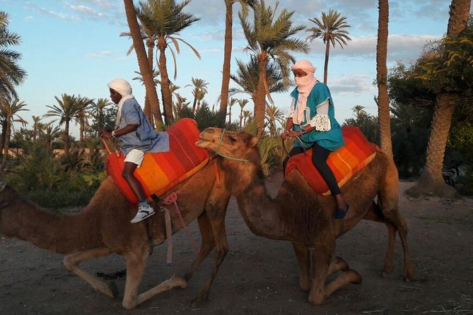 Camel Ride in the Palm Grove - Amenities Provided