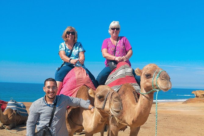 Camel Ride on Tangier Beach - Meeting and Pickup
