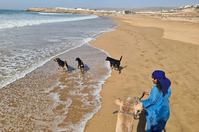 Camel Ride on the Beach From Awrir or Tamraght