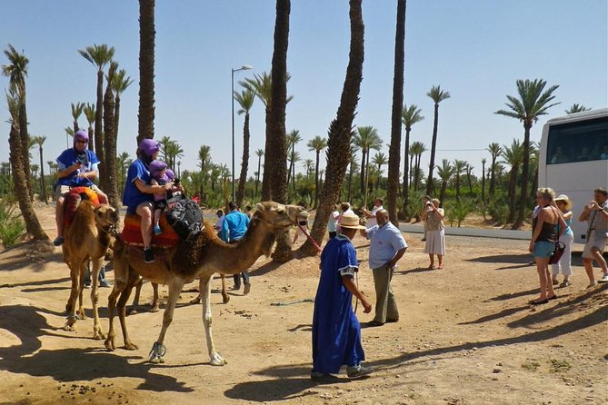 Camel Ride Tour in Marrakech - Tour Availability