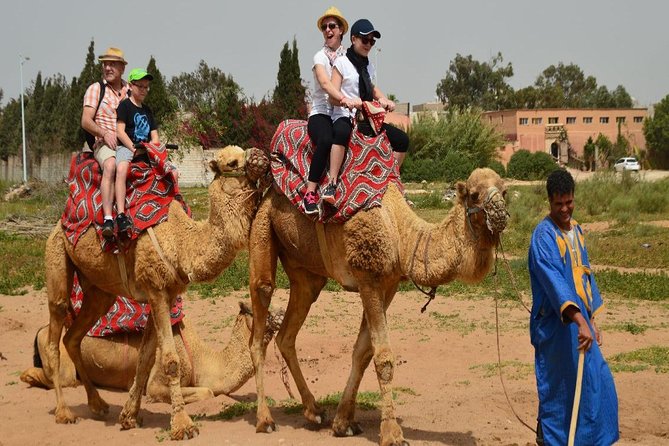 Camel Riding in Agadir for Cruise Ship Passengers - Activity Details