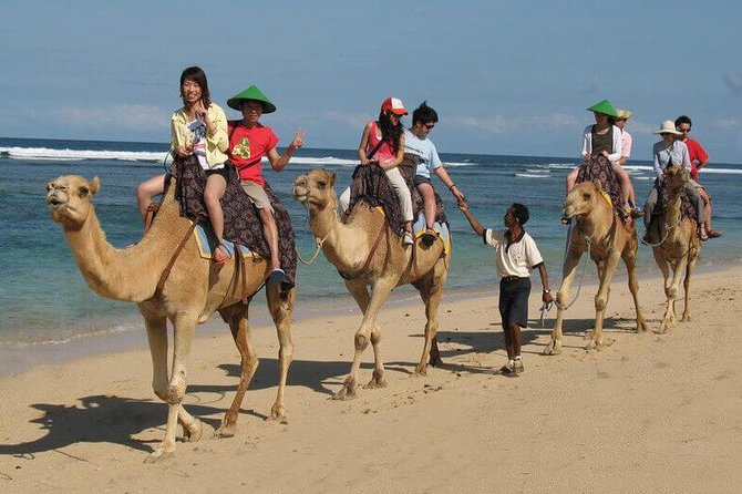 Camel Safari 30 Minutes in White Sand Beach - Experience Details