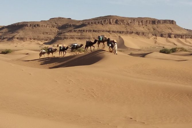 Camel Trek Morocco 8 Days - Tour Overview