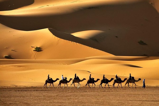 Camel Trekking - Inclusions