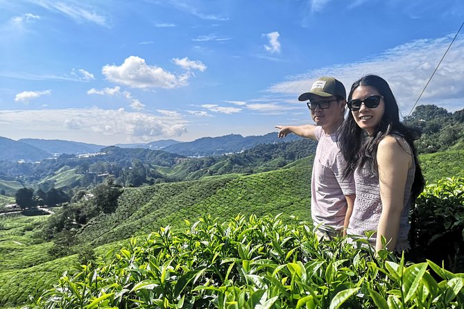 Cameron Highland Best Tour From Ipoh (Private Day Trip)
