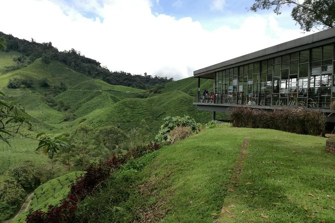 Cameron Highlands, Garden of Nature Full Day Private Guided Tour
