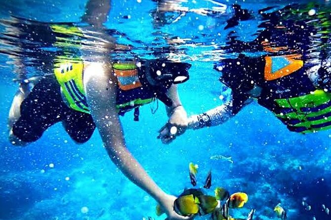 Canyon & Quad Bike Safari & Snorkeling From Sharm El Sheikh