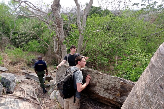 Cape Coast Cultural Odyssey Day Trip With Lunch Included - Trip Overview