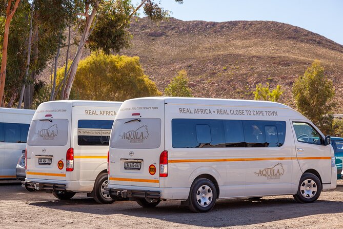 Cape Town Afternoon Safari With Transport and Lunch - Inclusions