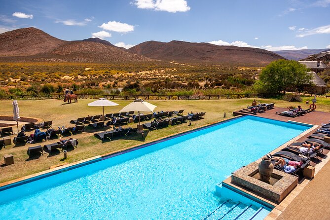 Cape Town Best of Aquila Safari Full Day Tour With Transport